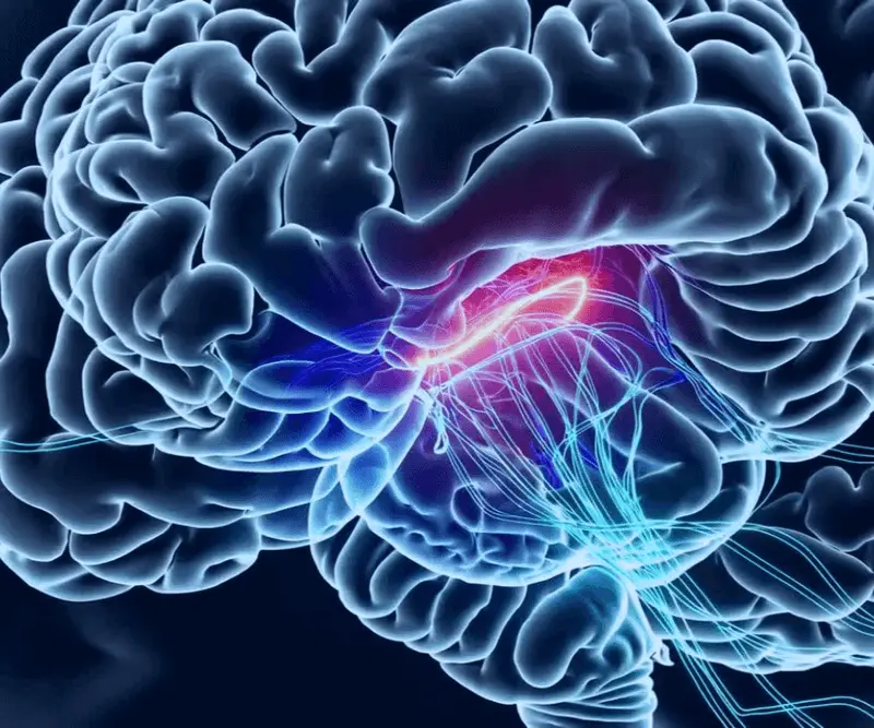 Neuro Energizer Banner Image